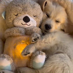 CozyBear™ | De Ademende Teddybeer voor Rust & Comfort